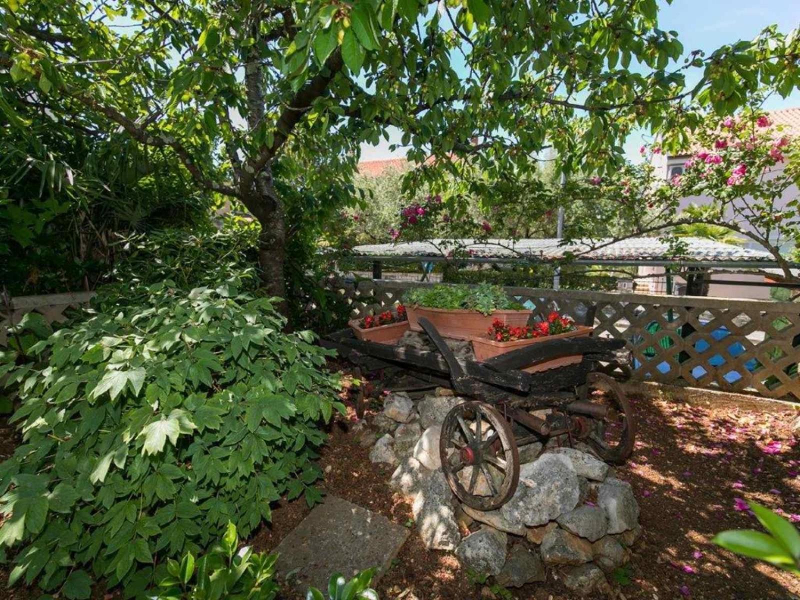 Apartments Loredana Poreč Extérieur photo